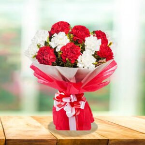 perfect red and white carnation